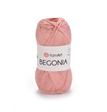 Begonia Yarnart  #4105 запорошена троянда