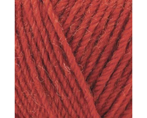 Superwash Artisan /Супервош Артісан #36 рудий