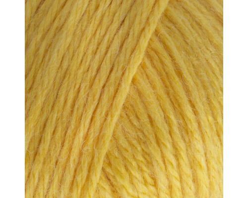 Baby Wool XL #812 жовтий