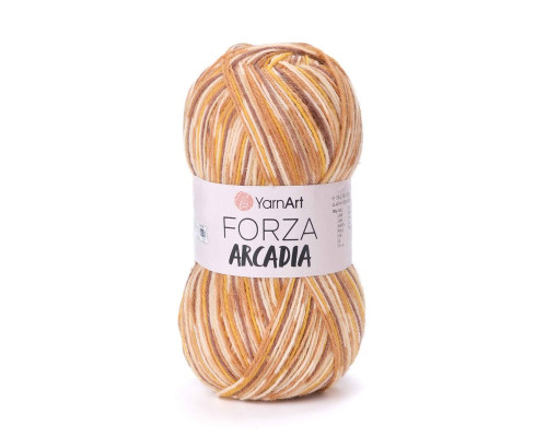 Пряжа YarnArt Forza Arcadia / Форза Аркадія  #6803