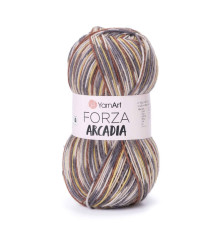 Пряжа YarnArt Forza Arcadia / Форза Аркадія  #6805