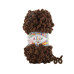 Puffy FINE Alize #493 шоколад