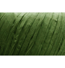 Fibra Natura Raffia Chunky, 114-14 зелений чай