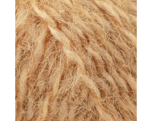 Gazzal Teddy,  #6539 Медовий