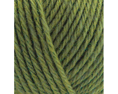 Wooltime Alize / Вултайм № 139