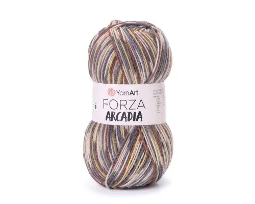 Пряжа YarnArt Forza Arcadia / Форза Аркадія  #6805